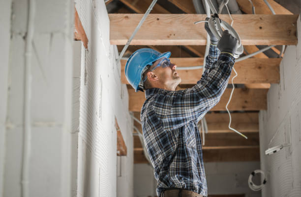 Best Electrician for Home Renovation  in Prairie Du Chien, WI