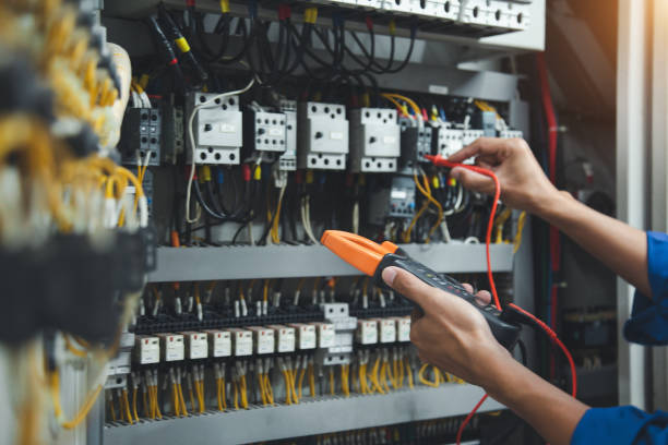Best Electric Panel Repair  in Prairie Du Chien, WI